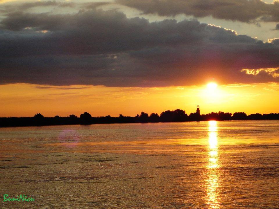 PLIMBARI IN DELTA  - 970131.jpg